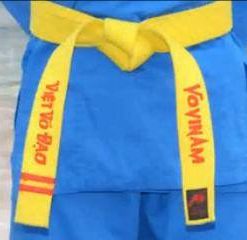 Cách thắt đai Vovinam