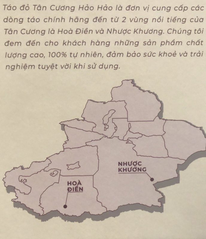 ZAGIDO – Shop bán hàng trực tuyến của VIMIDO Group