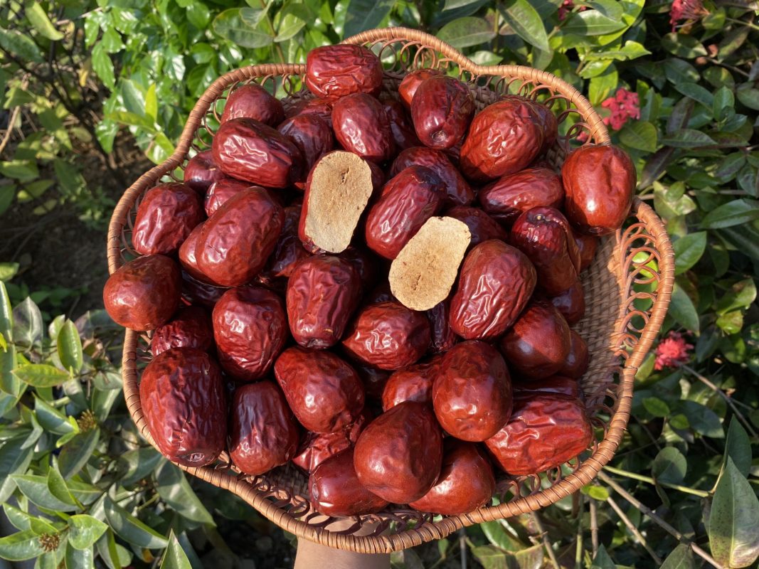ZAGIDO – Shop bán hàng trực tuyến của VIMIDO Group