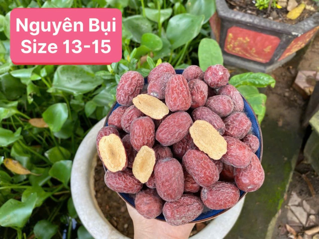 ZAGIDO – Shop bán hàng trực tuyến của VIMIDO Group