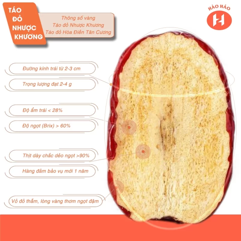 ZAGIDO – Shop bán hàng trực tuyến của VIMIDO Group