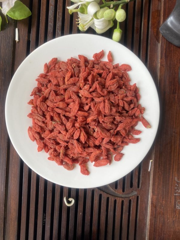 ZAGIDO – Shop bán hàng trực tuyến của VIMIDO Group