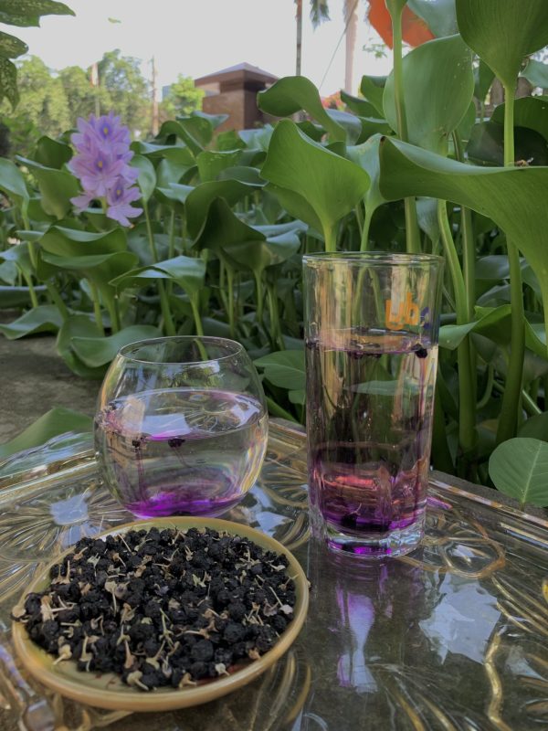 ZAGIDO – Shop bán hàng trực tuyến của VIMIDO Group