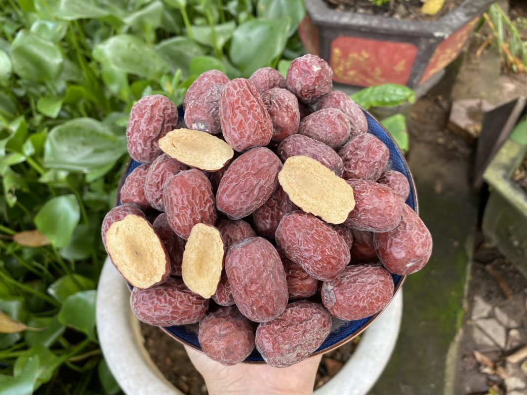 ZAGIDO – Shop bán hàng trực tuyến của VIMIDO Group