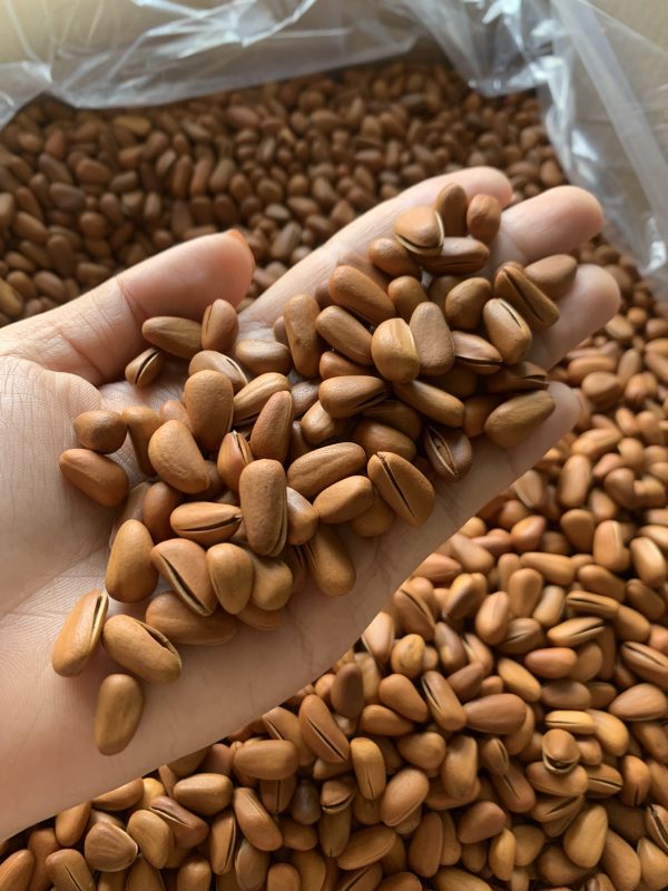 ZAGIDO – Shop bán hàng trực tuyến của VIMIDO Group