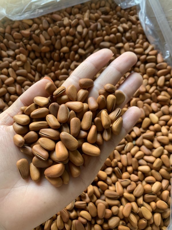 ZAGIDO – Shop bán hàng trực tuyến của VIMIDO Group