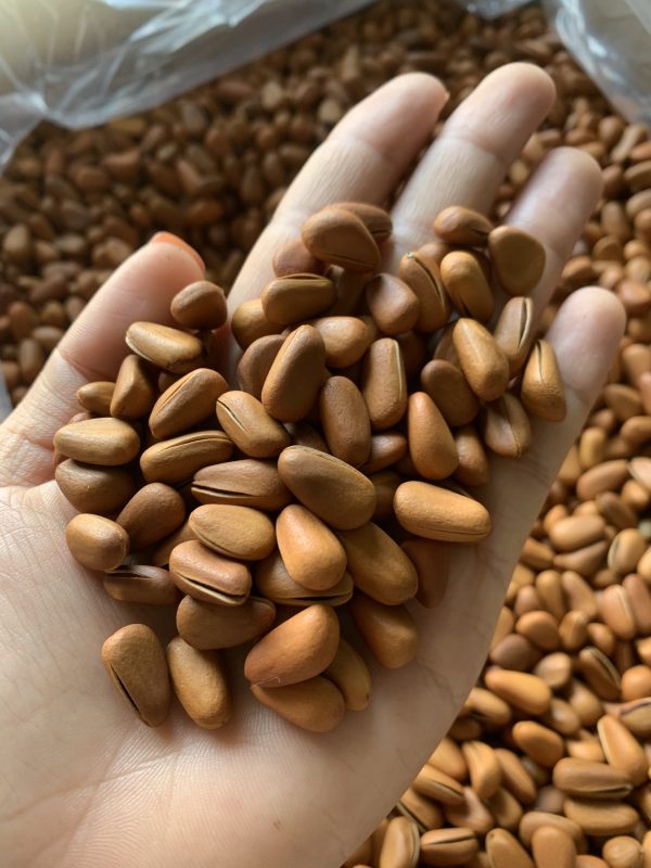 ZAGIDO – Shop bán hàng trực tuyến của VIMIDO Group