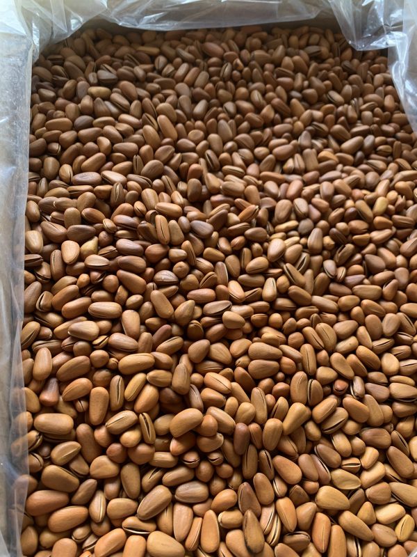 ZAGIDO – Shop bán hàng trực tuyến của VIMIDO Group