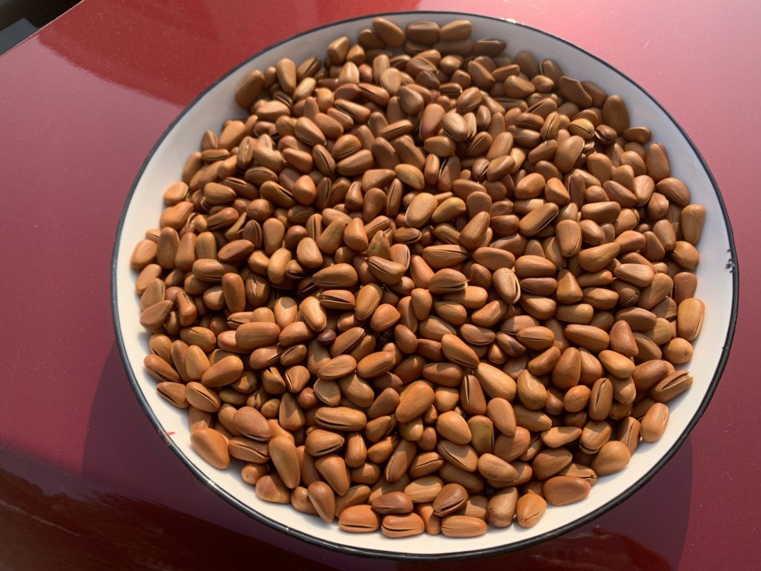 ZAGIDO – Shop bán hàng trực tuyến của VIMIDO Group