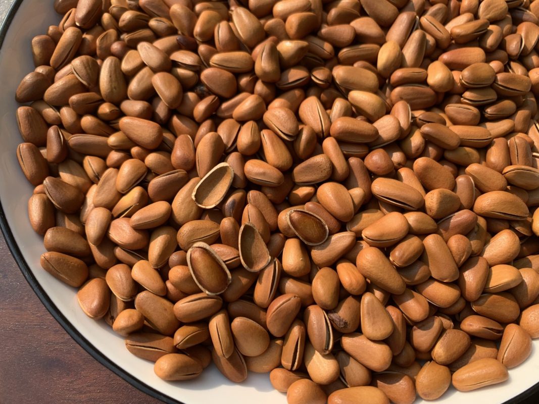 ZAGIDO – Shop bán hàng trực tuyến của VIMIDO Group