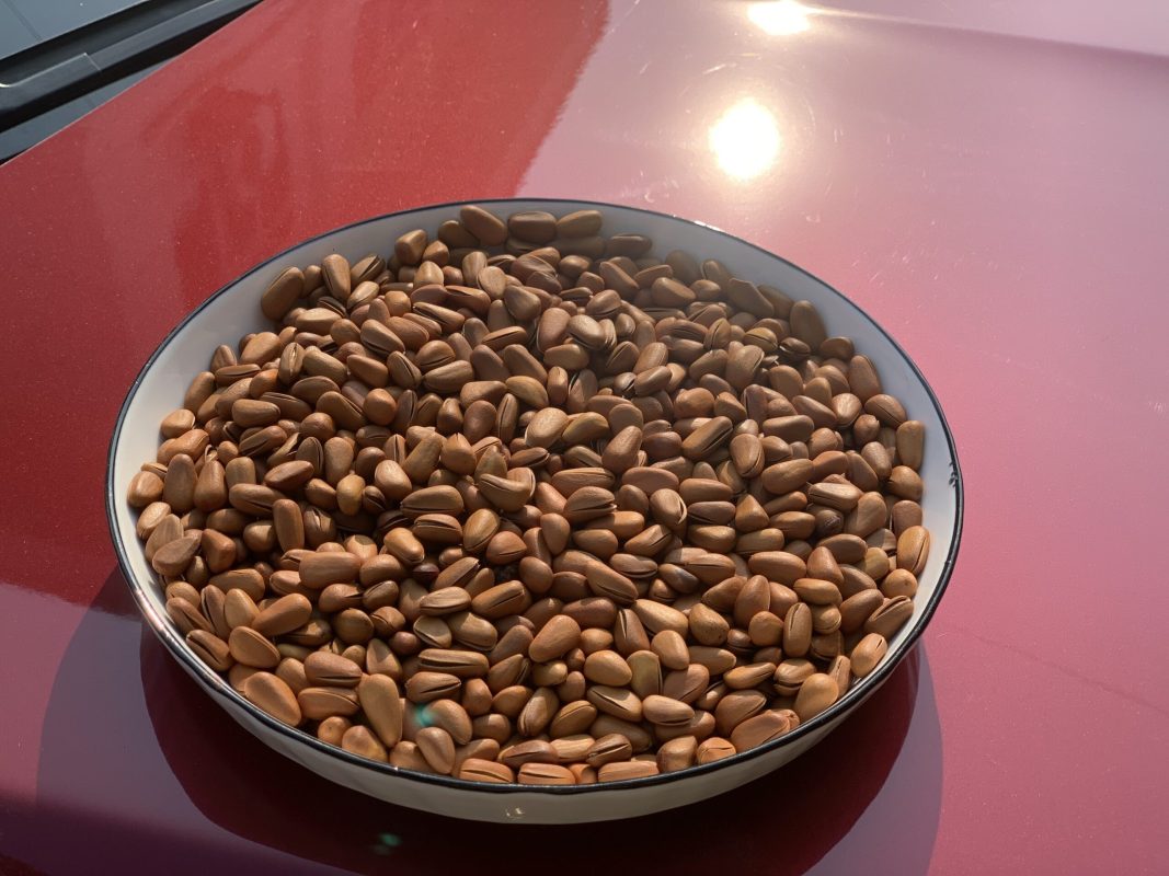 ZAGIDO – Shop bán hàng trực tuyến của VIMIDO Group