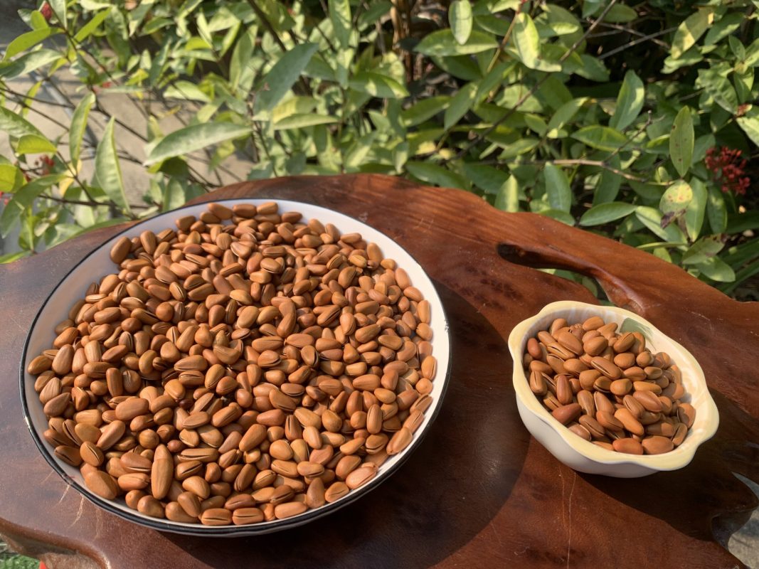 ZAGIDO – Shop bán hàng trực tuyến của VIMIDO Group