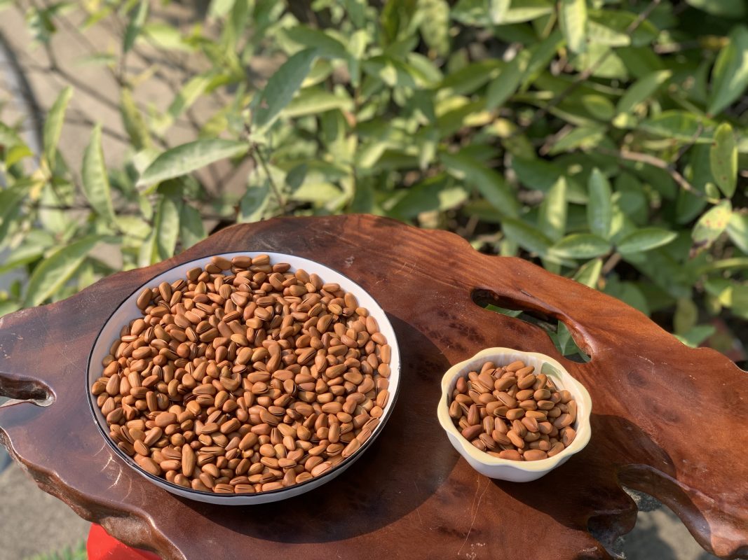 ZAGIDO – Shop bán hàng trực tuyến của VIMIDO Group