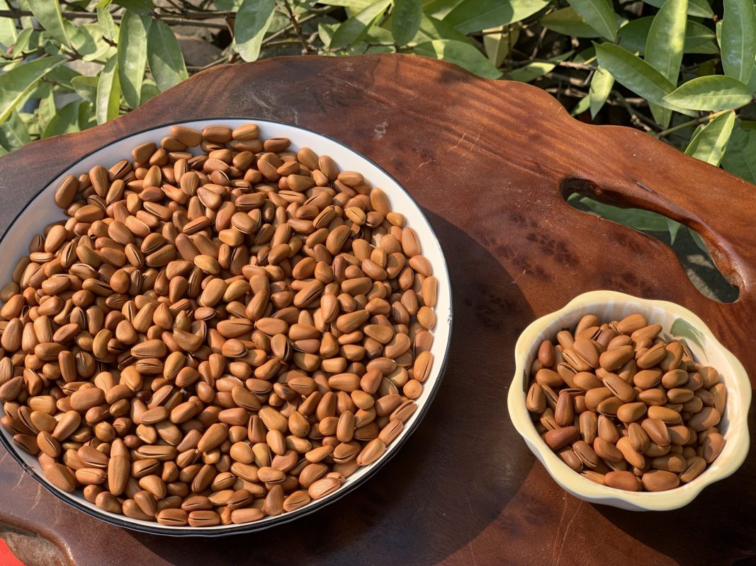 ZAGIDO – Shop bán hàng trực tuyến của VIMIDO Group