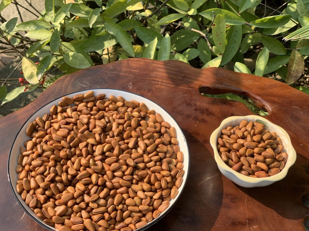 ZAGIDO – Shop bán hàng trực tuyến của VIMIDO Group