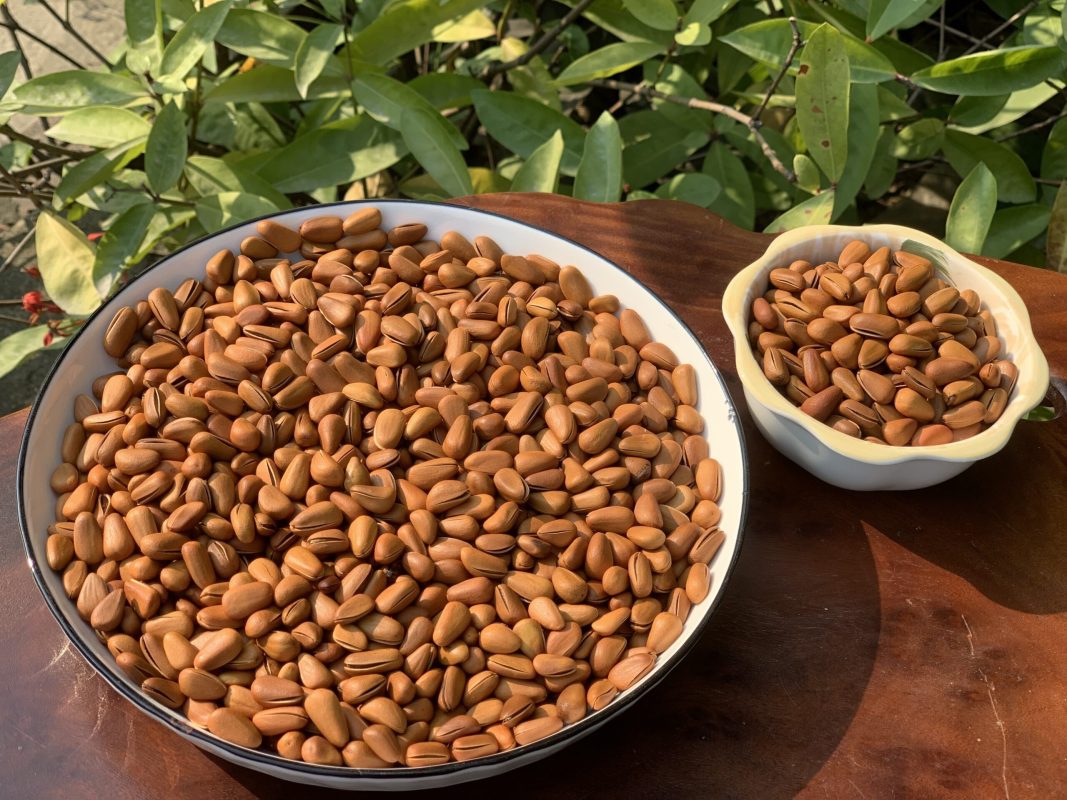 ZAGIDO – Shop bán hàng trực tuyến của VIMIDO Group