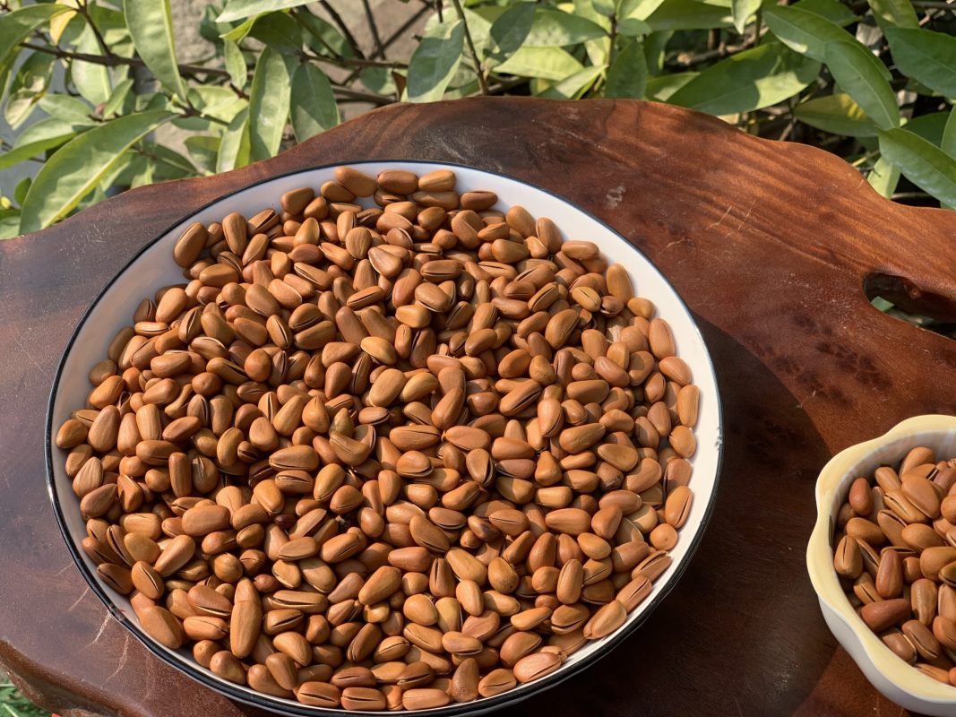 ZAGIDO – Shop bán hàng trực tuyến của VIMIDO Group