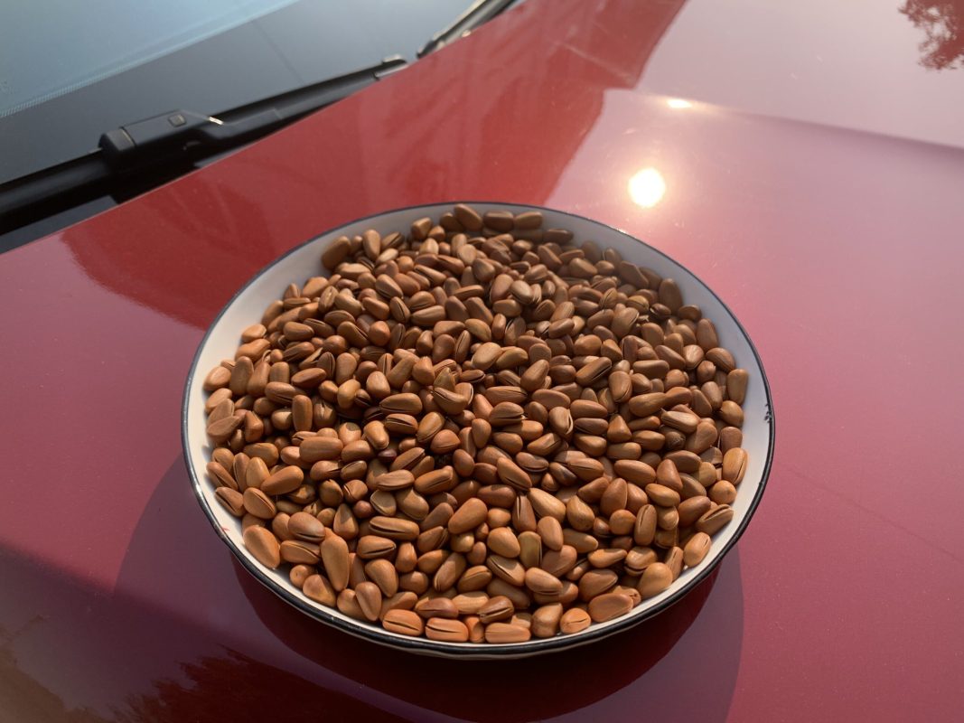 ZAGIDO – Shop bán hàng trực tuyến của VIMIDO Group