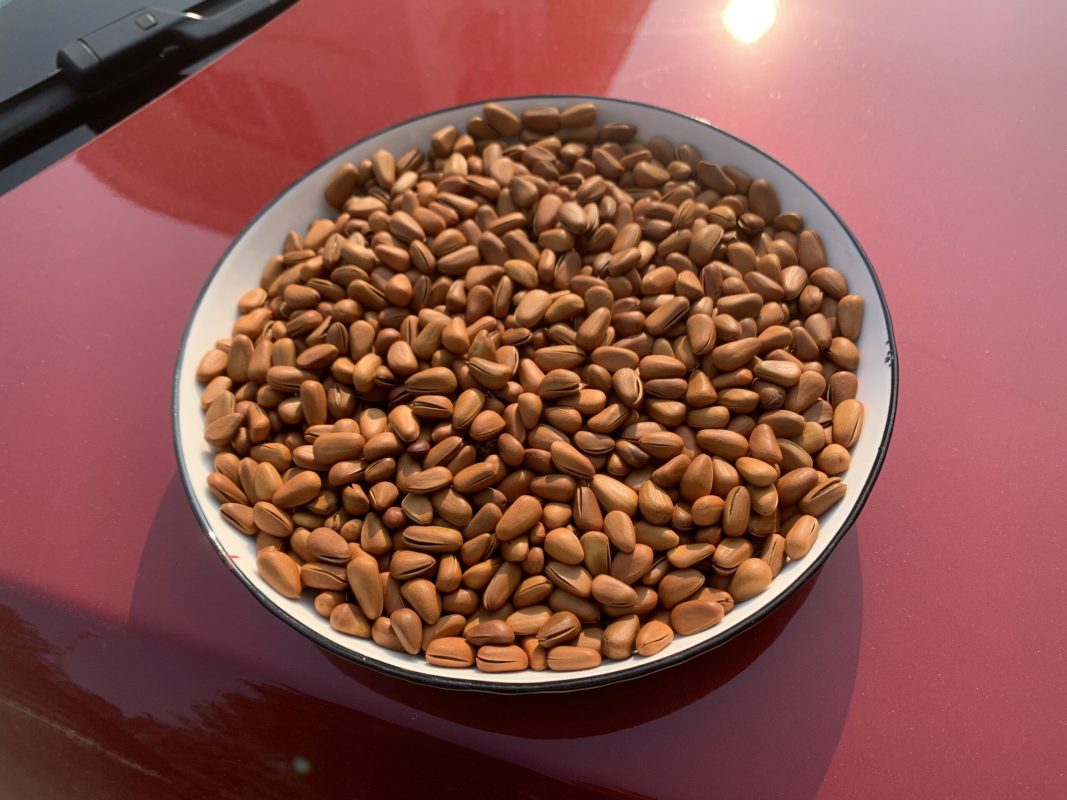 ZAGIDO – Shop bán hàng trực tuyến của VIMIDO Group