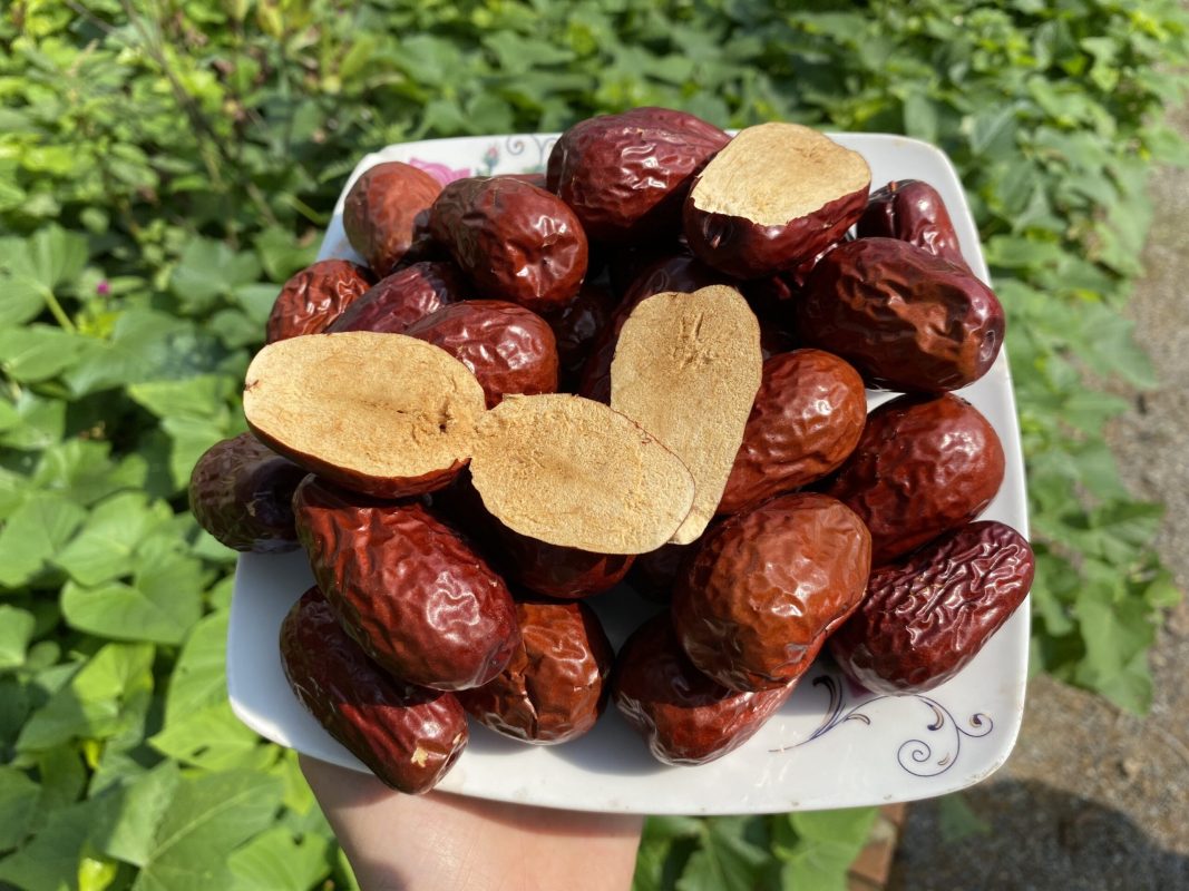 ZAGIDO – Shop bán hàng trực tuyến của VIMIDO Group