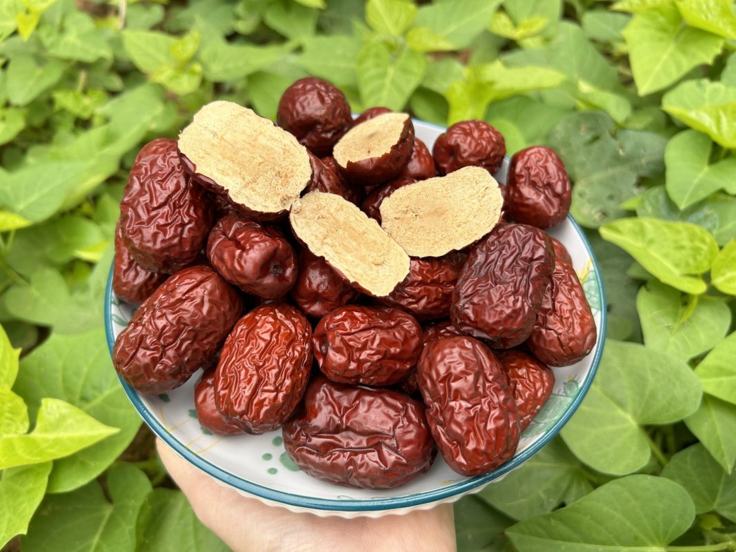 ZAGIDO – Shop bán hàng trực tuyến của VIMIDO Group