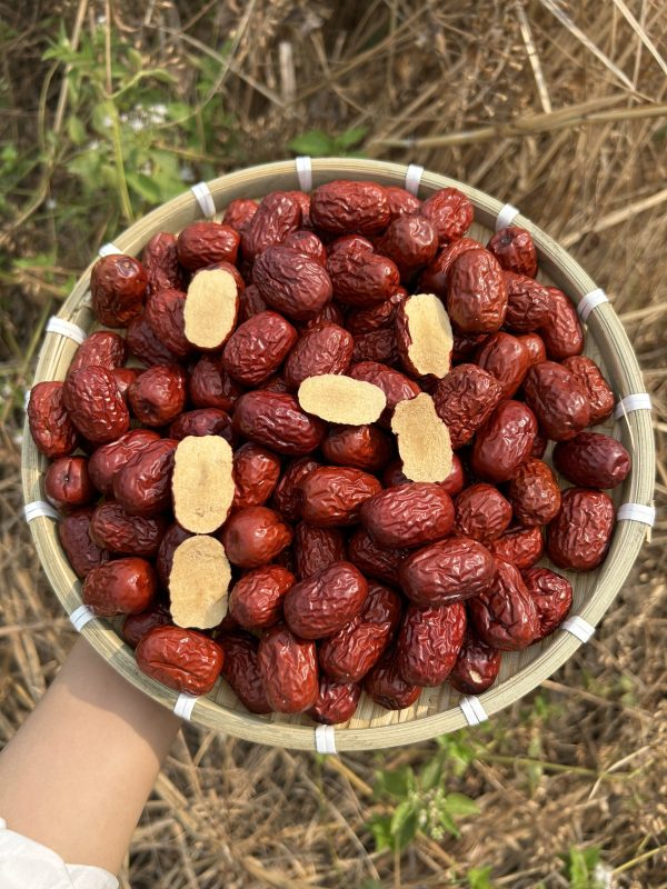 ZAGIDO – Shop bán hàng trực tuyến của VIMIDO Group