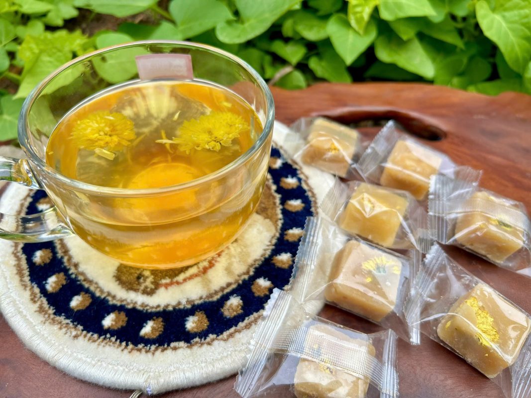 ZAGIDO – Shop bán hàng trực tuyến của VIMIDO Group