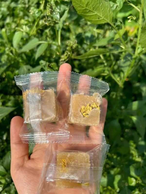 ZAGIDO – Shop bán hàng trực tuyến của VIMIDO Group