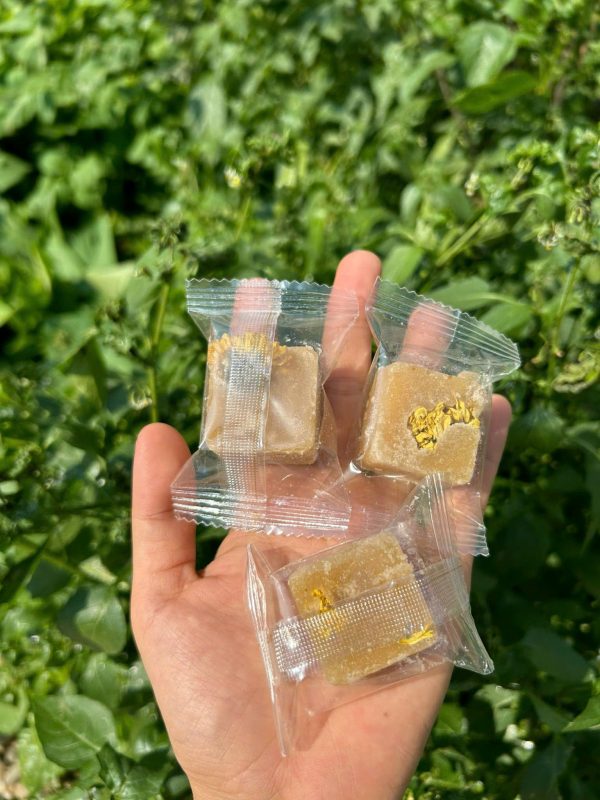 ZAGIDO – Shop bán hàng trực tuyến của VIMIDO Group