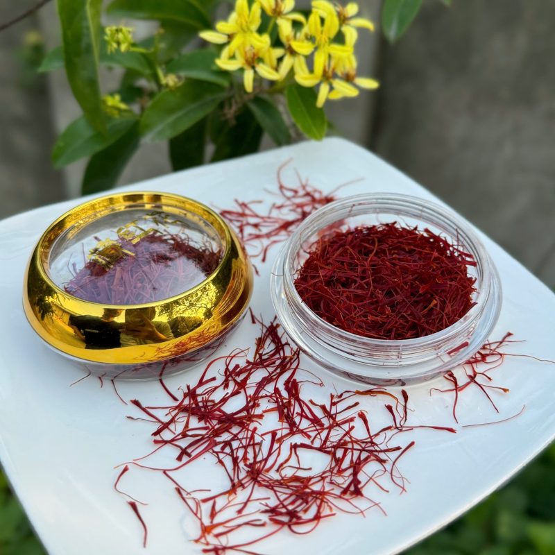 ZAGIDO – Shop bán hàng trực tuyến của VIMIDO Group