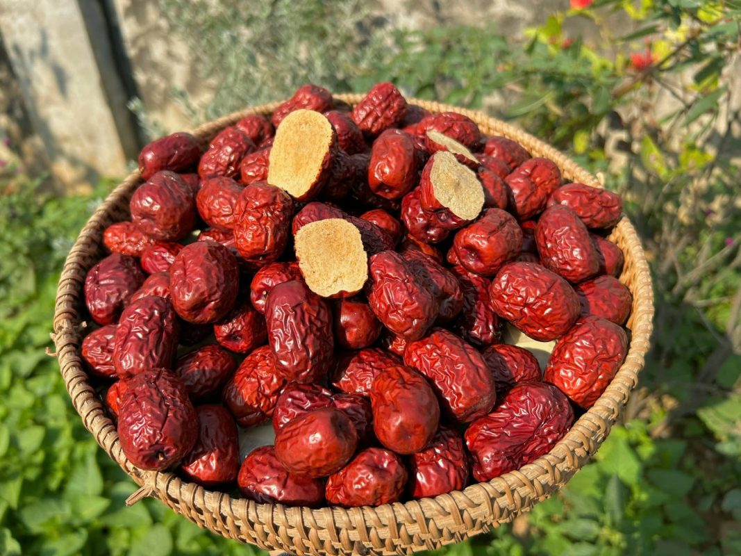 ZAGIDO – Shop bán hàng trực tuyến của VIMIDO Group