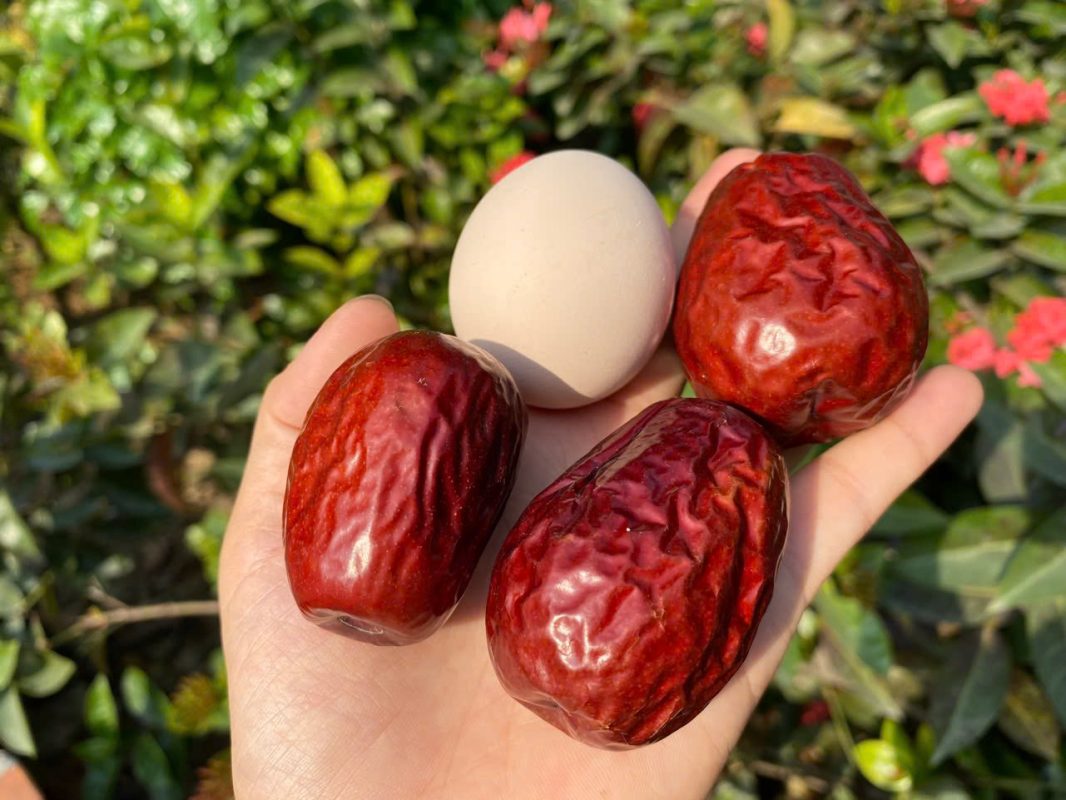 ZAGIDO – Shop bán hàng trực tuyến của VIMIDO Group