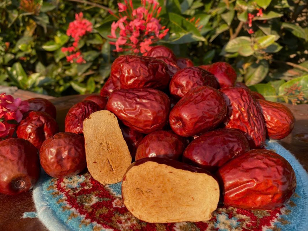 ZAGIDO – Shop bán hàng trực tuyến của VIMIDO Group