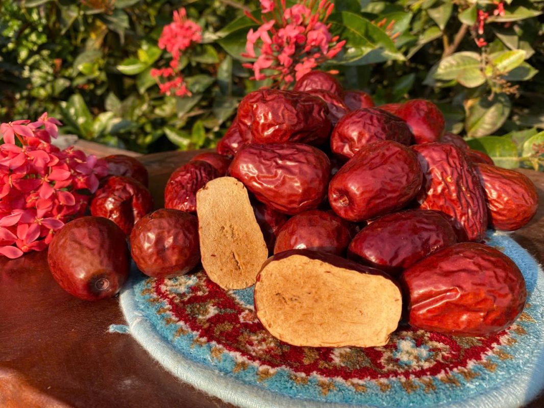 ZAGIDO – Shop bán hàng trực tuyến của VIMIDO Group