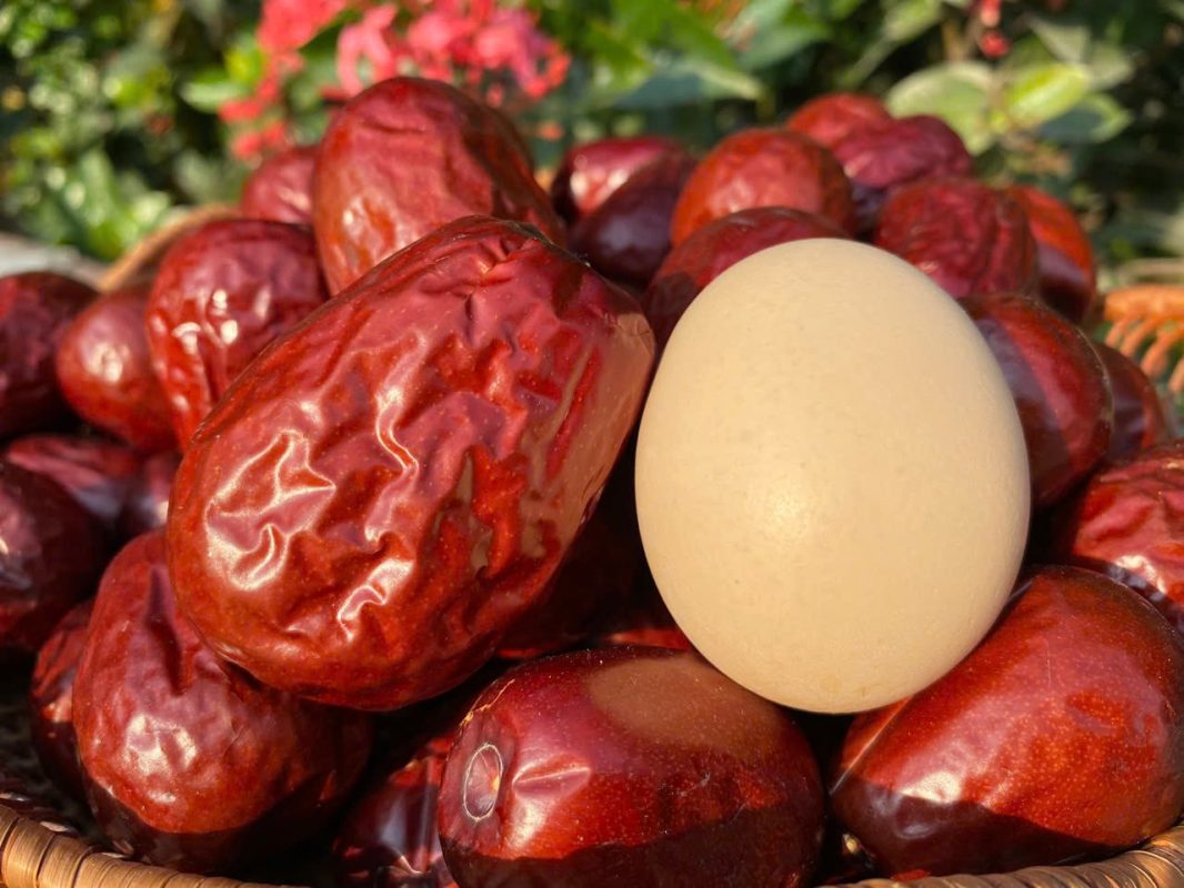 ZAGIDO – Shop bán hàng trực tuyến của VIMIDO Group