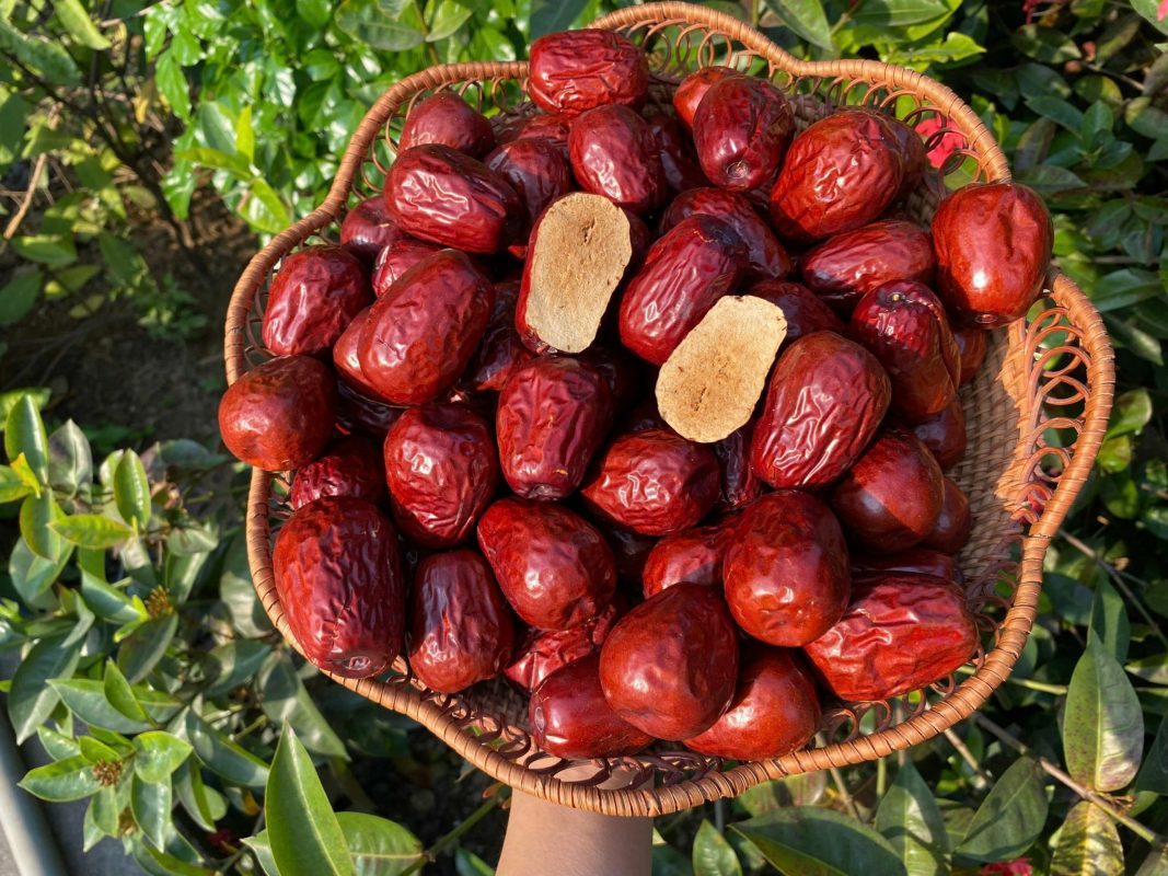 ZAGIDO – Shop bán hàng trực tuyến của VIMIDO Group