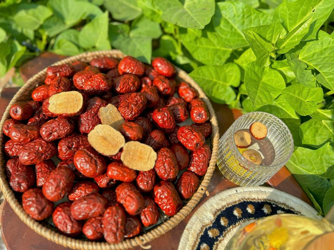 ZAGIDO – Shop bán hàng trực tuyến của VIMIDO Group