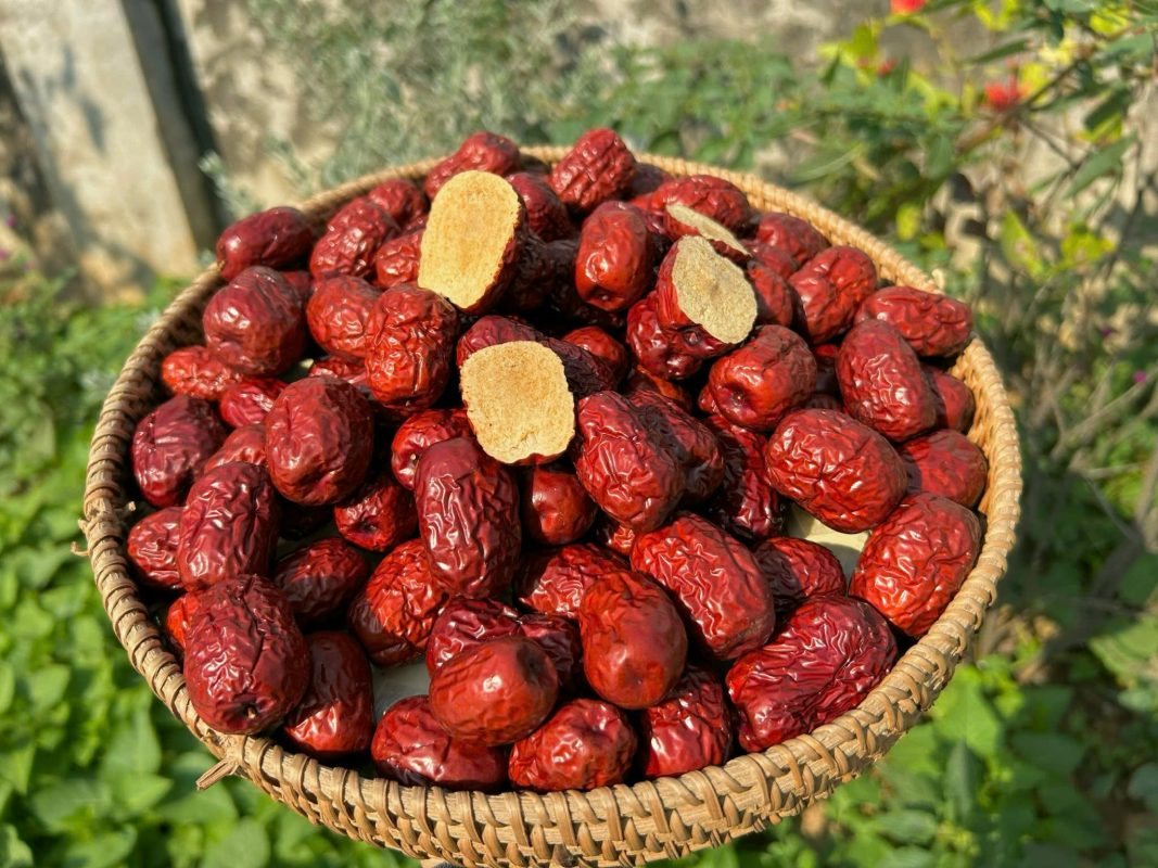 ZAGIDO – Shop bán hàng trực tuyến của VIMIDO Group