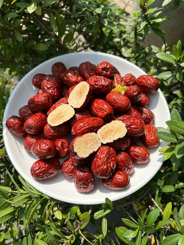 ZAGIDO – Shop bán hàng trực tuyến của VIMIDO Group