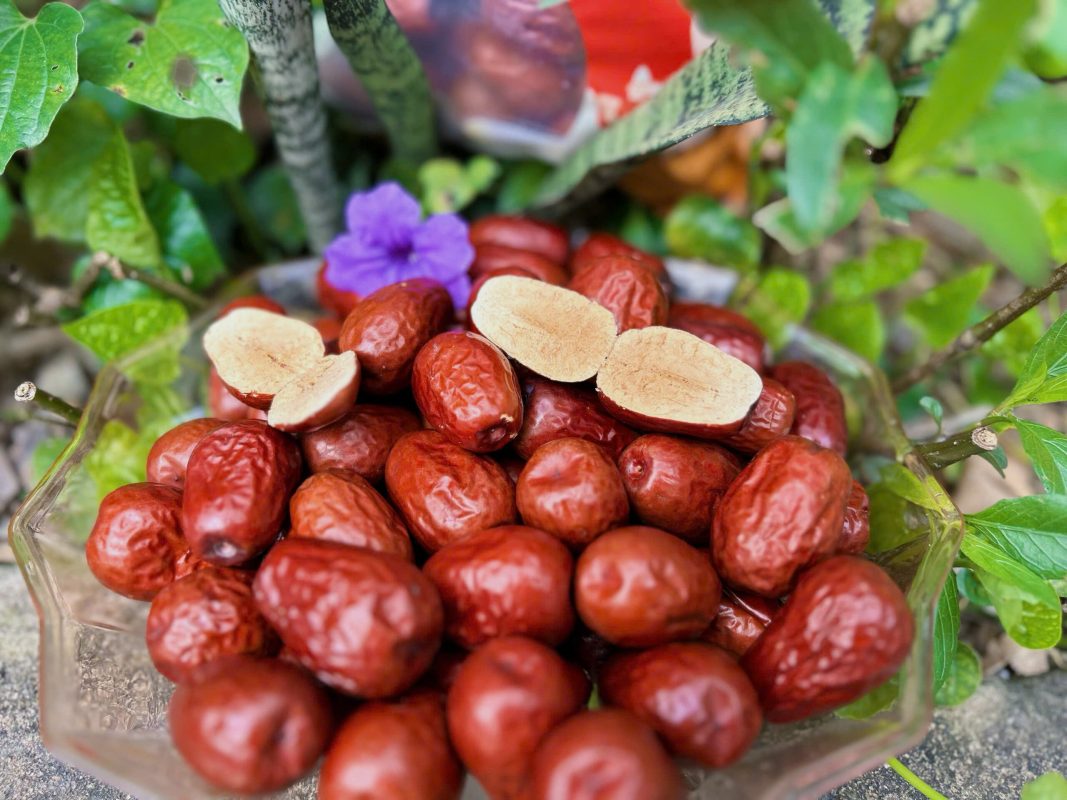 ZAGIDO – Shop bán hàng trực tuyến của VIMIDO Group