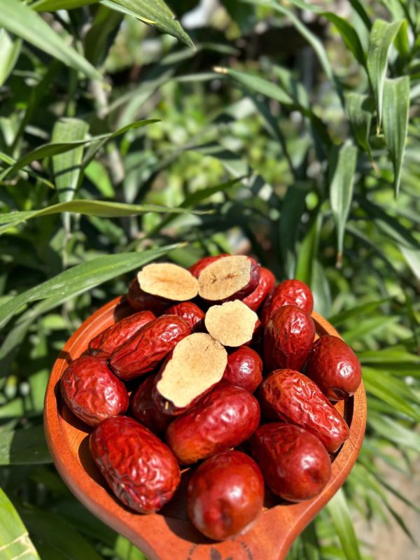 ZAGIDO – Shop bán hàng trực tuyến của VIMIDO Group