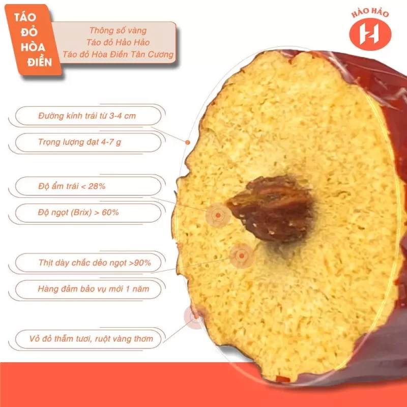 ZAGIDO – Shop bán hàng trực tuyến của VIMIDO Group